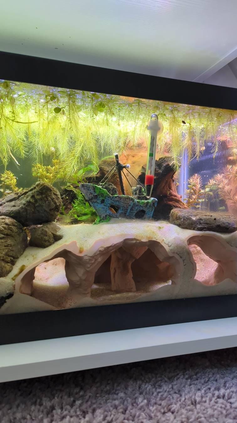 Atlantis Hidden Observation Cave | Aquarium & Terrarium Decor | Natural Hide for Fish, Plecos, Shrimp, Beetles or Reptiles