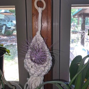 Tricia added a photo of their purchase