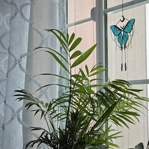 Anne added a photo of their purchase