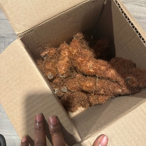 Eddie added a photo of their purchase