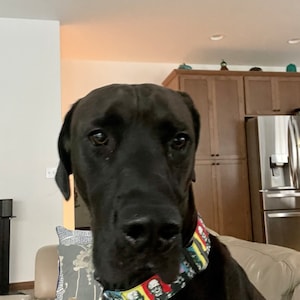 Erin ha añadido una foto de su compra