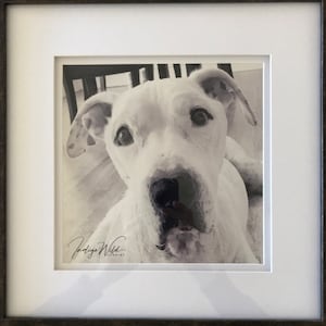 Brenda added a photo of their purchase