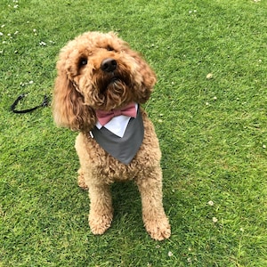 Carrie added a photo of their purchase