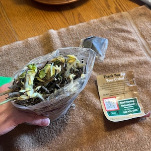 Kimberly added a photo of their purchase