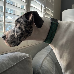 Sara Sciortino added a photo of their purchase