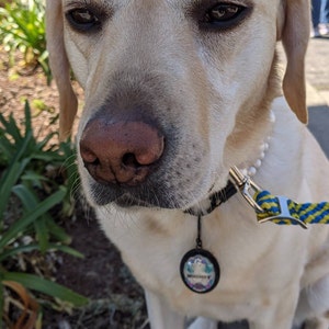 Sparkle hat ein Foto des gekauften Artikels hinzugefügt