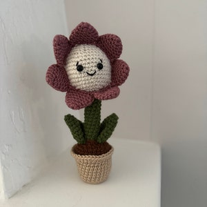 Mandi added a photo of their purchase