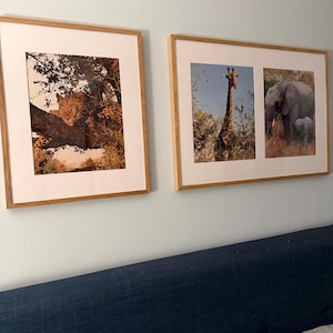 Jarina added a photo of their purchase