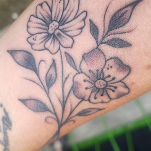 Torrie added a photo of their purchase