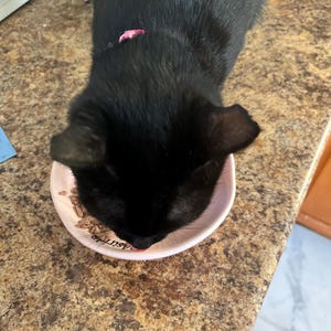 Rosaline added a photo of their purchase