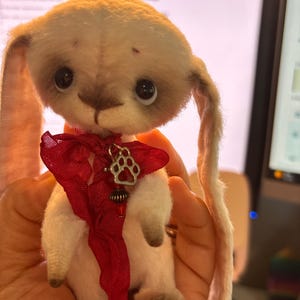 G. added a photo of their purchase