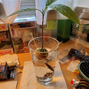 Tracy added a photo of their purchase