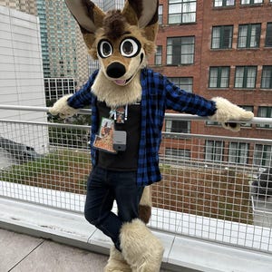 ZingFox added a photo of their purchase