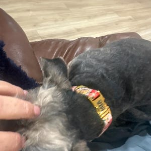 sheila ha añadido una foto de su compra