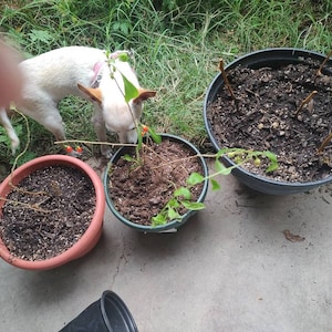 Peggy added a photo of their purchase
