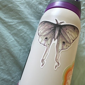 Kelsy added a photo of their purchase
