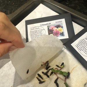 Lyubov ha añadido una foto de su compra