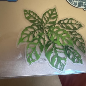 Nikki added a photo of their purchase