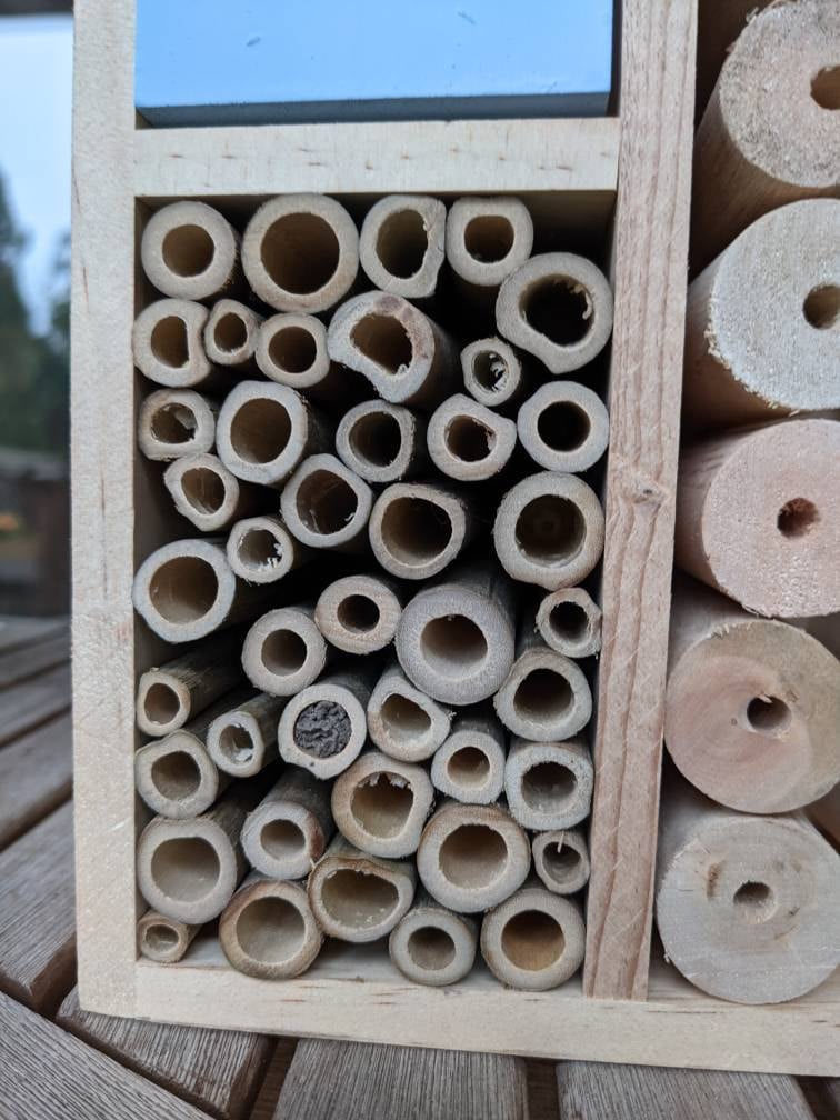 Sunny Pollinator Hotel Mehrzimmerhaus - Blattschneider &amp; Mauerbienen Insektenhabitat Einheimische Gärten Bio-Garten Gärtner Natur Geschenk