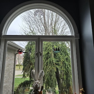 Chris added a photo of their purchase