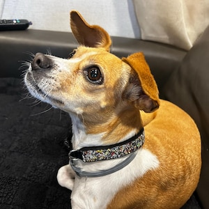 Lucy added a photo of their purchase