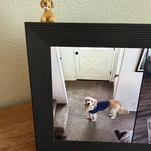 Claudia added a photo of their purchase