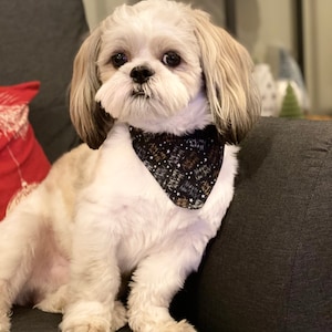 Alicja added a photo of their purchase