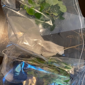 Lucia added a photo of their purchase