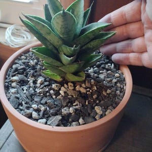 Amy added a photo of their purchase