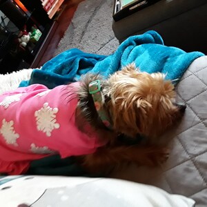 Lynne added a photo of their purchase