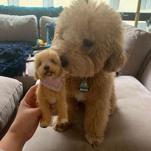 Jade added a photo of their purchase