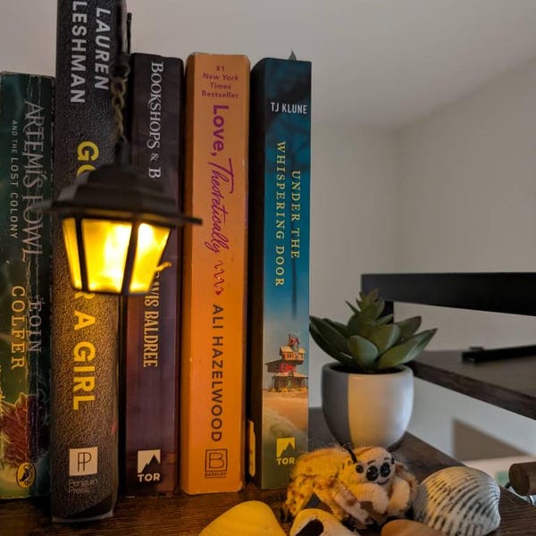 Library Lantern – Mini Bookshelf Lamp, Fantastic Shelf Decor, Warm and ...