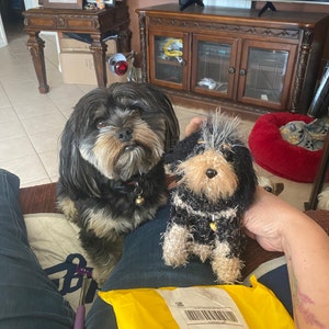 Lupe added a photo of their purchase