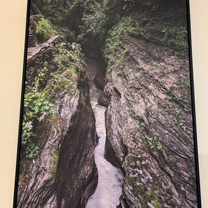 Robbin added a photo of their purchase