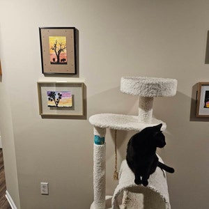 John added a photo of their purchase
