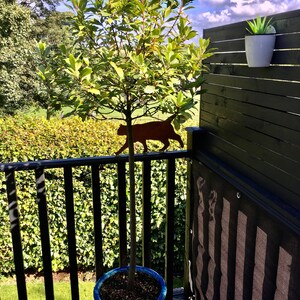 Carolyn added a photo of their purchase