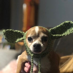 Gryphan added a photo of their purchase
