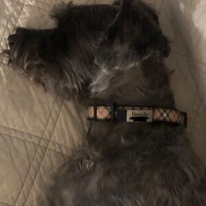Ronnie hat ein Foto des gekauften Artikels hinzugefügt