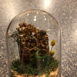 Tara added a photo of their purchase