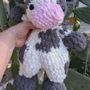 Dana added a photo of their purchase