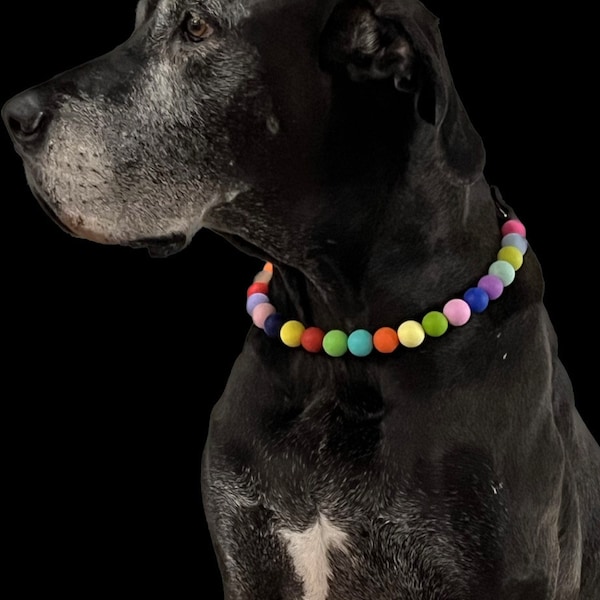 Beaded Dog Collar, Fancy Cat Necklace, Waterproof Dog Collar, Girly
