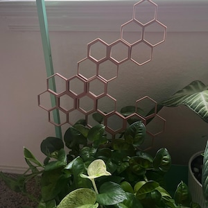 Merryl added a photo of their purchase
