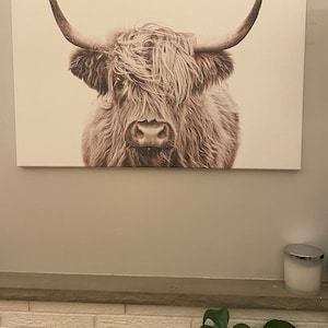 Marie added a photo of their purchase