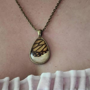 Summer added a photo of their purchase