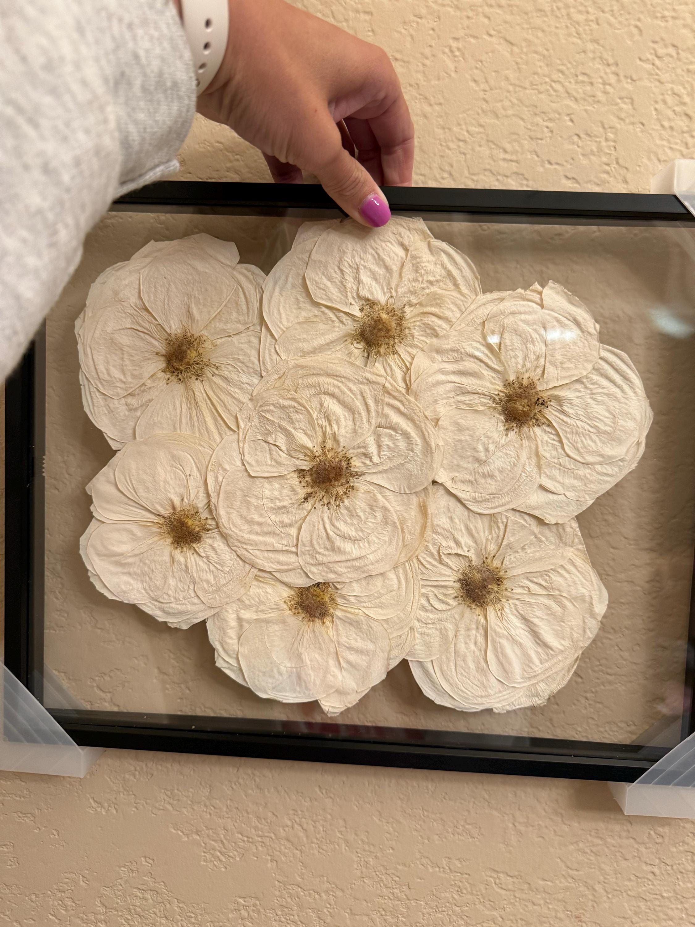 Preserved flowers from Haley's etsy review