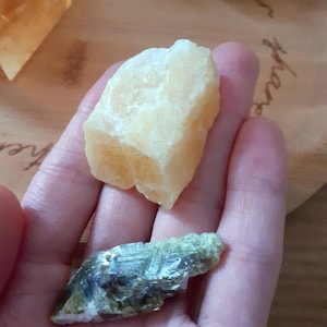 Sara hat ein Foto des gekauften Artikels hinzugefügt