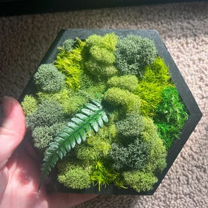 sundance added a photo of their purchase