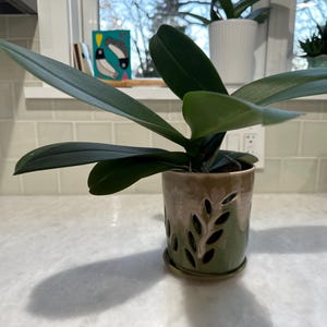 Helen added a photo of their purchase