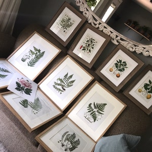 Allison added a photo of their purchase