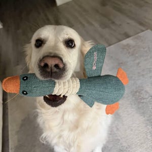 Jill ha añadido una foto de su compra